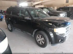 2010 Ford Escape