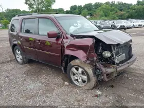 2010 Honda Pilot
