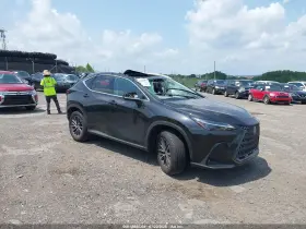 2025 Lexus NX 350