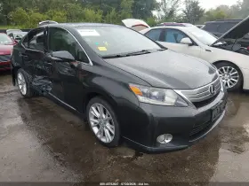 2010 Lexus HS 250h