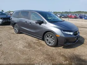 2025 Honda Odyssey