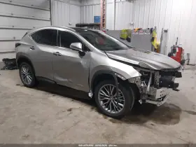 2024 Lexus NX 350