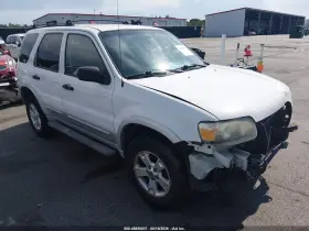 2007 Ford Escape