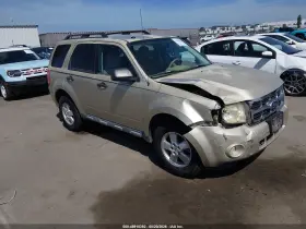 2010 Ford Escape