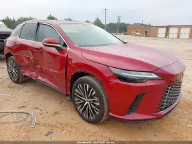 2025 Lexus RX