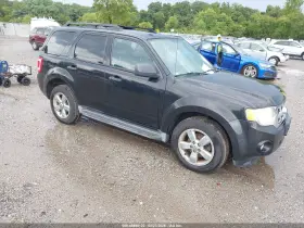 2011 Ford Escape