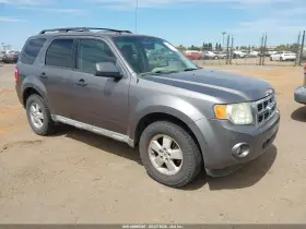 2009 Ford Escape