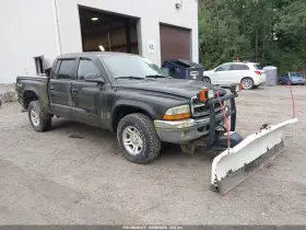 2004 Dodge Dakota