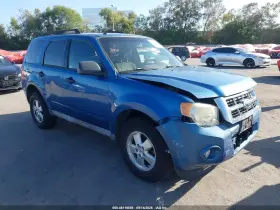 2010 Ford Escape