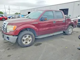 2010 Ford F-150