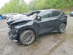 2025 Lexus NX