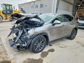 2024 Lexus NX 350h