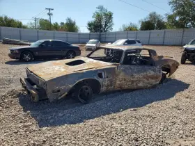 1981 Pontiac Firebird