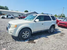 2010 Ford Escape