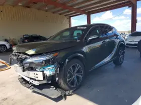 2025 Lexus RX